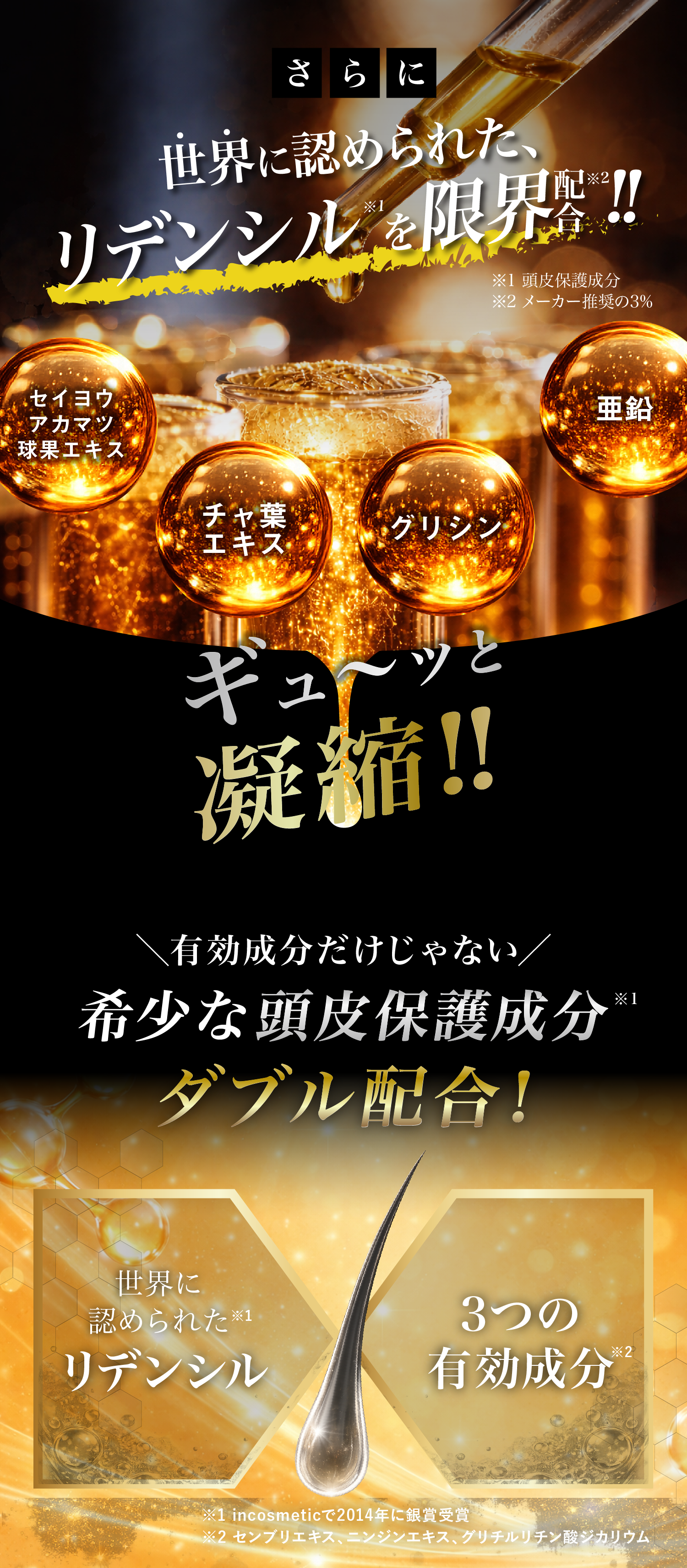 世界に認められた、リデンシル※1を限界配合※2 ※1頭皮保護成分※2メーカー推奨の3%