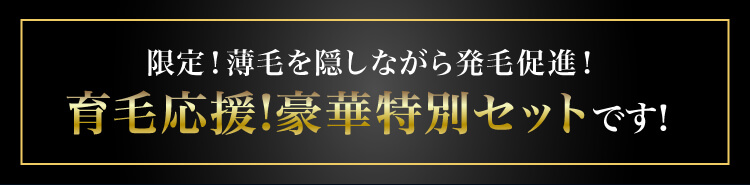 最強タッグのスペシャルセットです。