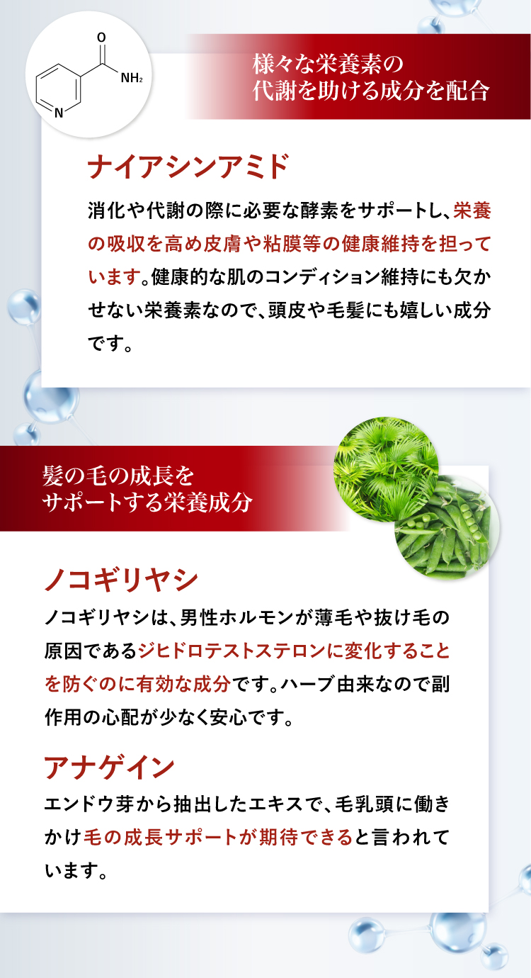 様々な栄養素の代謝を助けるナイアシンアミド、髪の毛の成長をサポートするノコギリヤシとアナゲイン