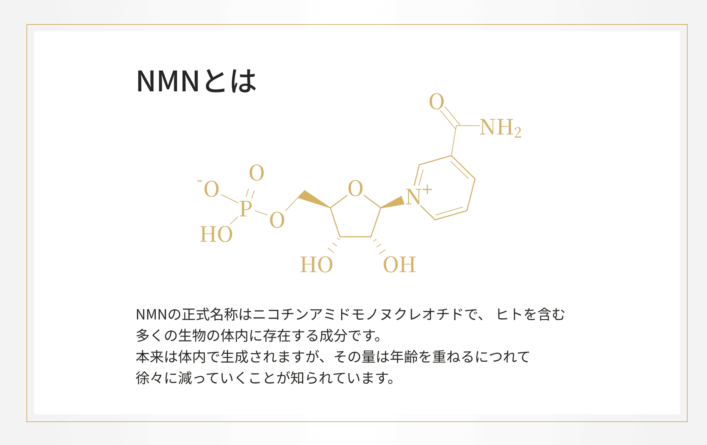 NMNとは
