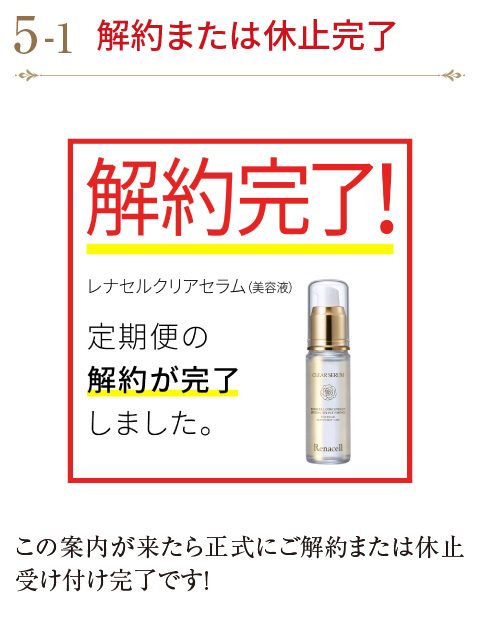 大幅値下げ！Renacell レナセル12点セット CHX-62 六角レンチ 六角レンチ カラビナ付き六角レンチセット