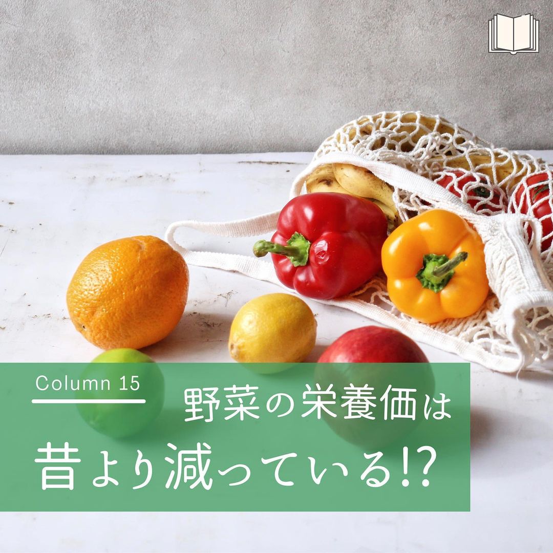 insta_column_20211112