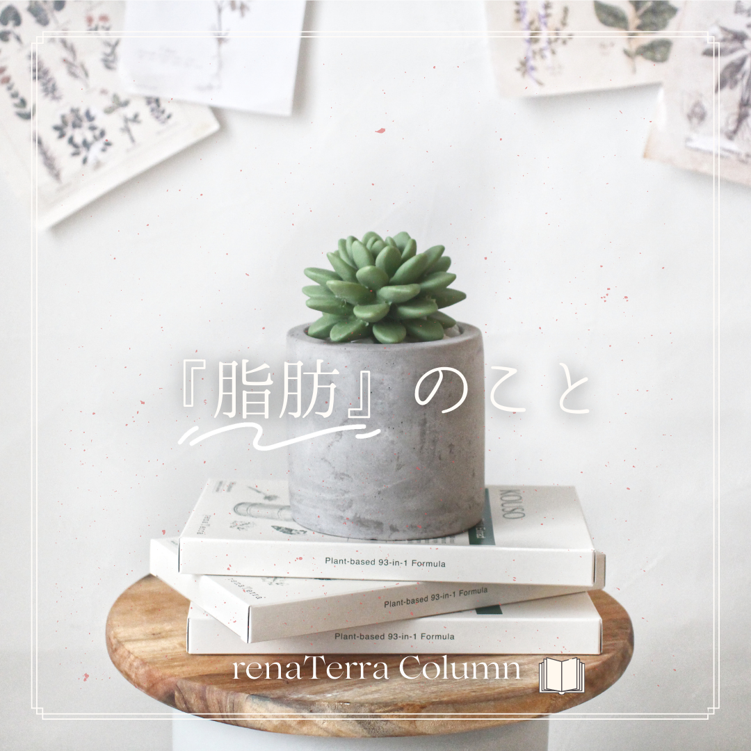 insta_column_20220218