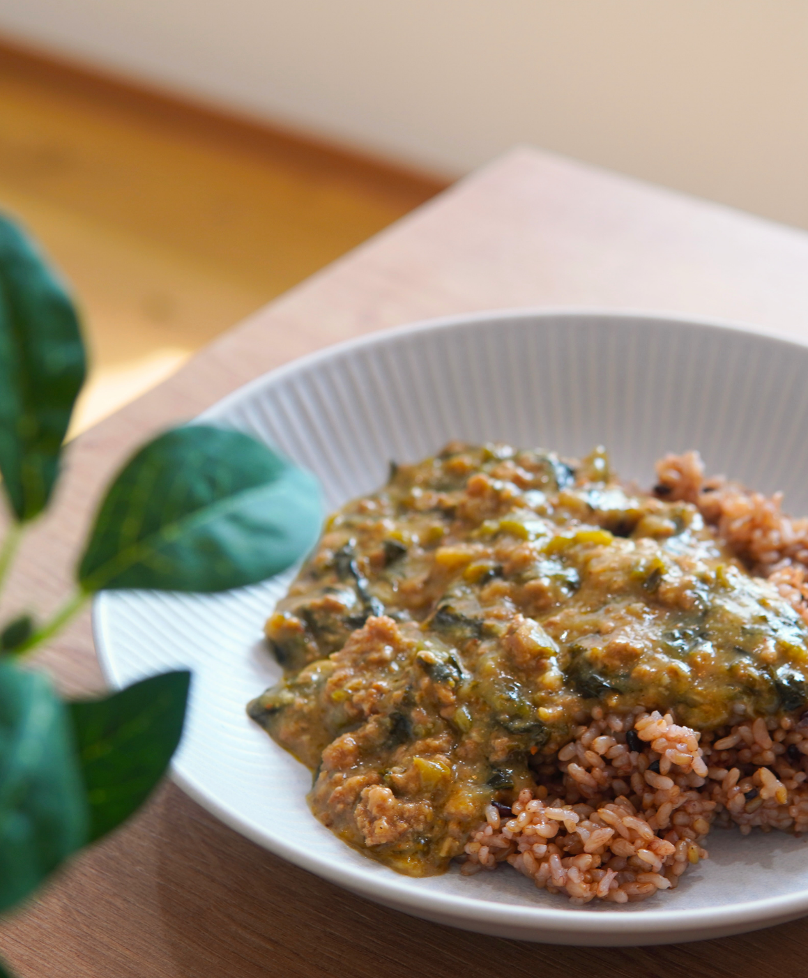 レトルトカレー５種セット