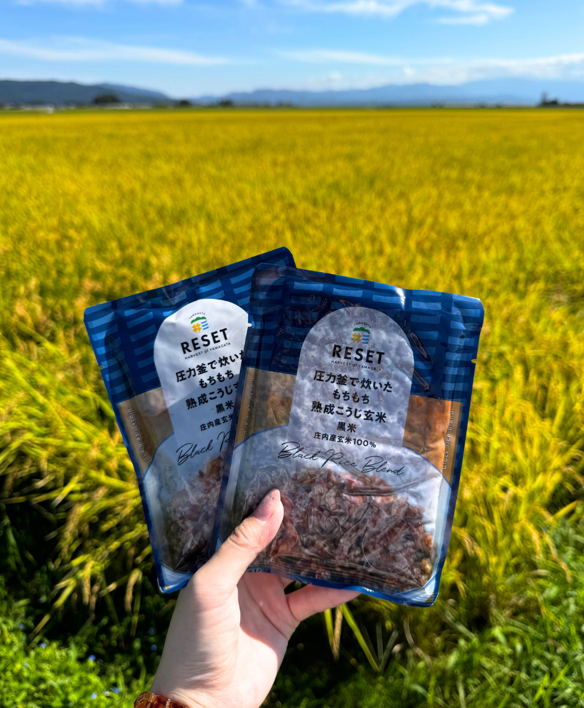 熟成こうじ玄米 12食セット