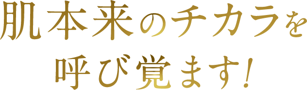 肌本来のチカラを呼び覚ます