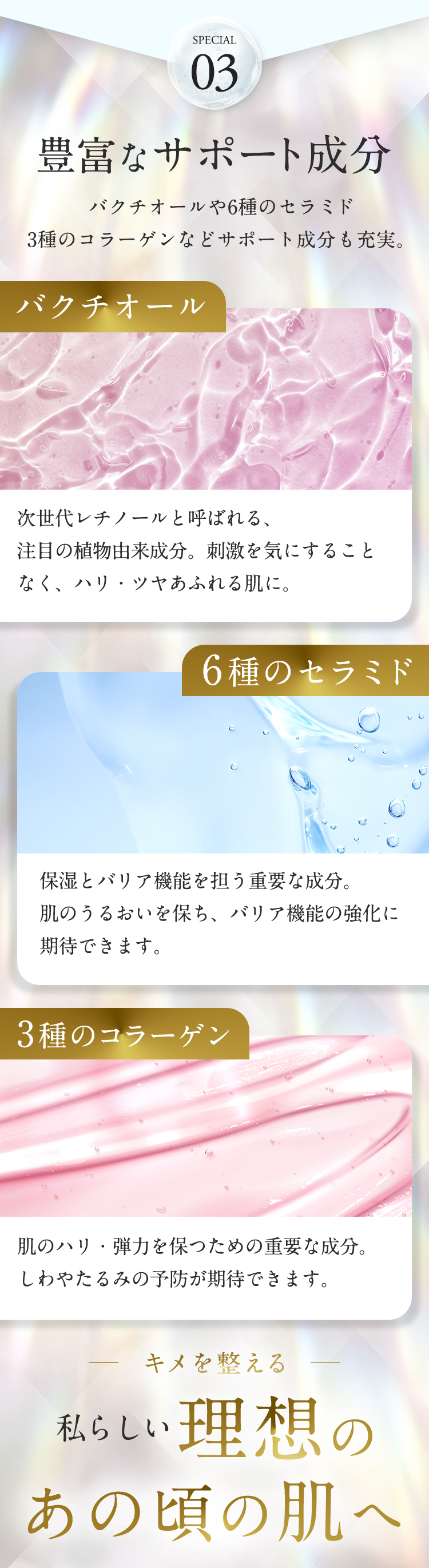こだわり3「豊富なサポート成分」