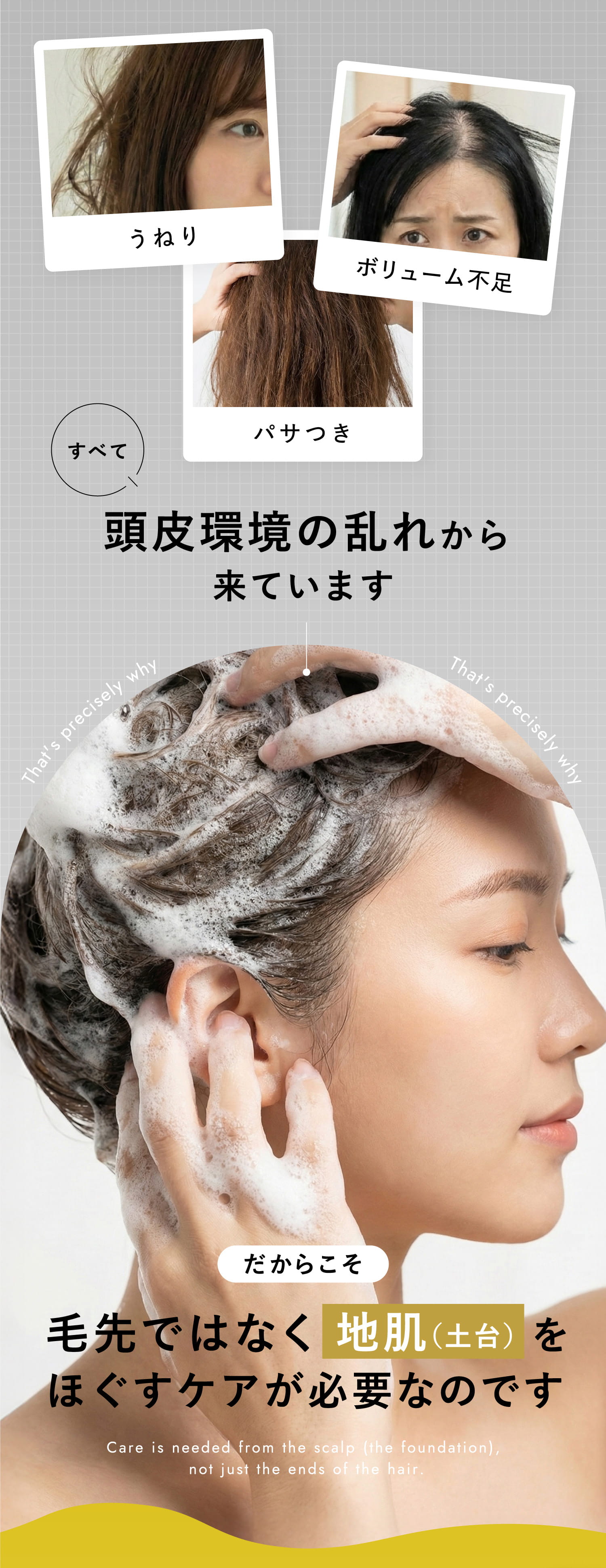 毛先ではなく地肌（土台）をほぐすケアが必要なのです