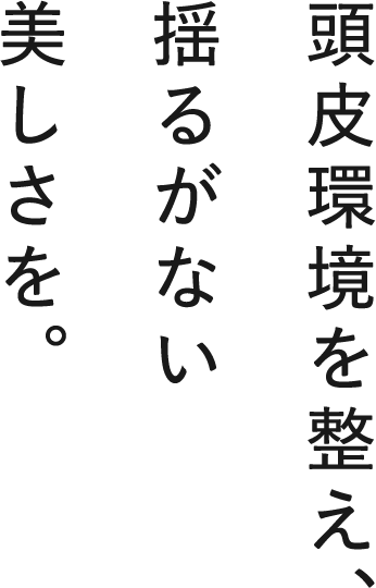 頭皮環境を整え、揺るがない美しさを。