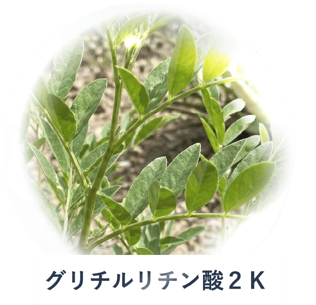 グリチルリチン酸２Ｋ
