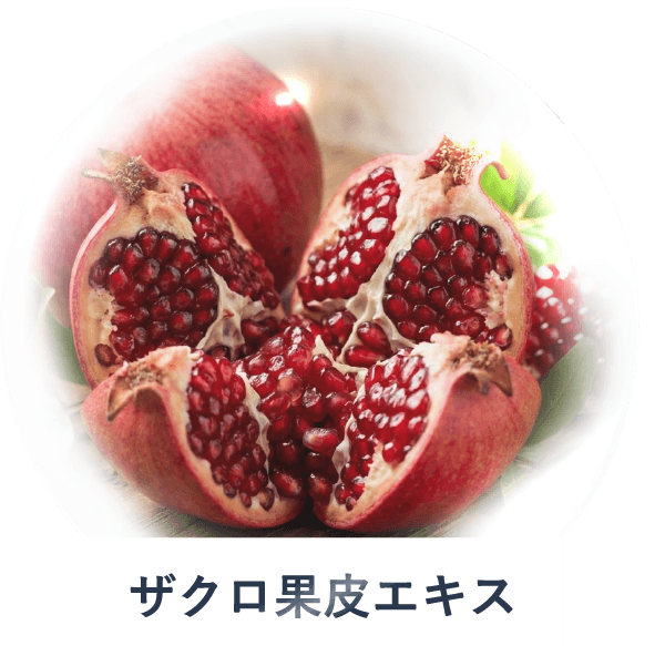 ザクロ果皮エキス