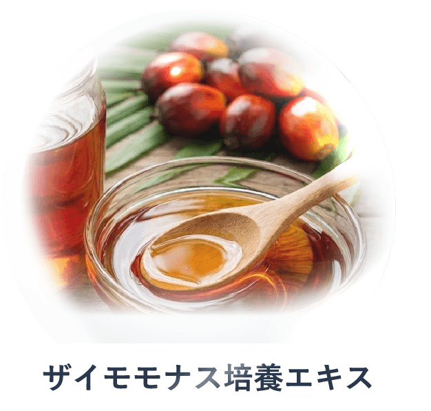 ザイモモナス培養エキス