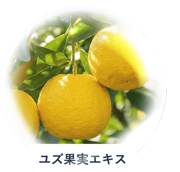ユズ果実エキス
