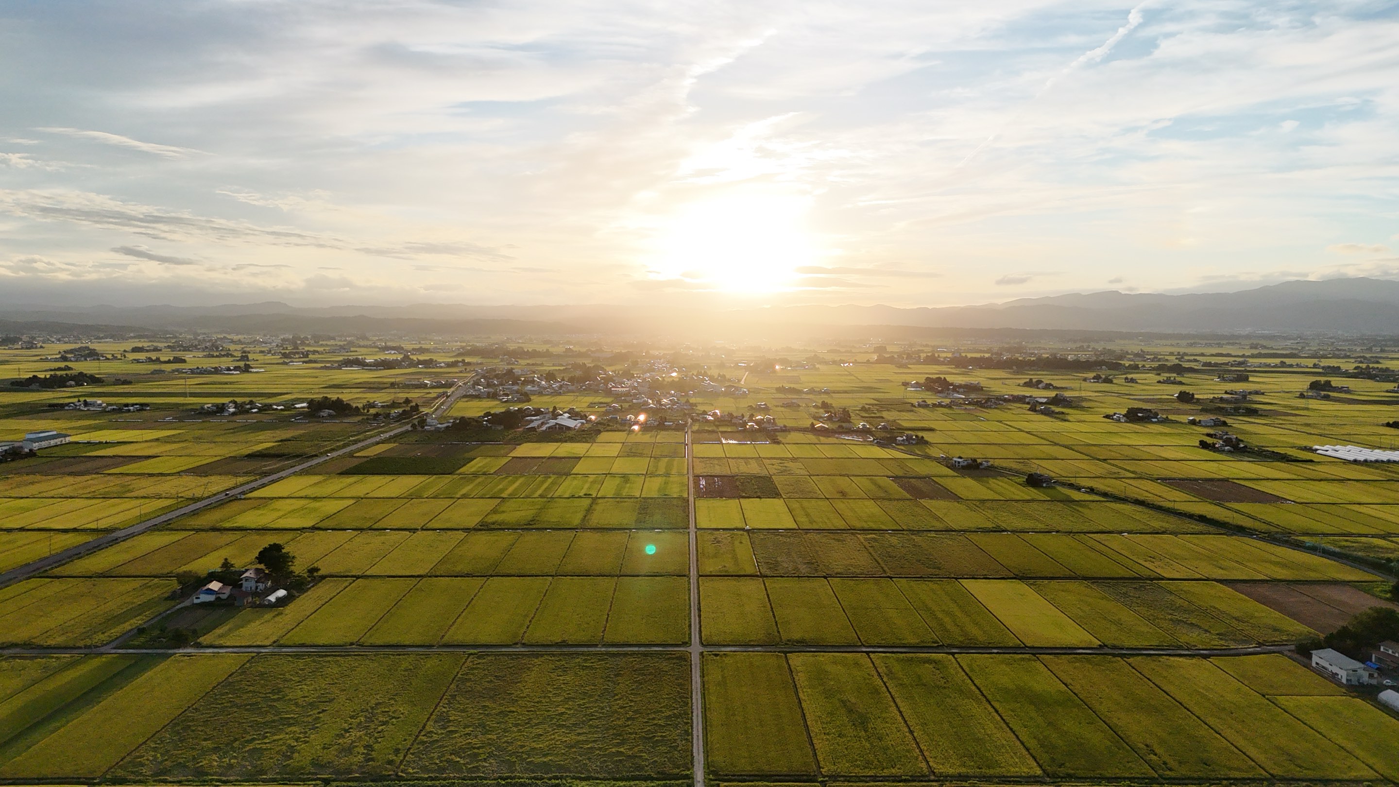 朝日に照らされた一面の田園風景