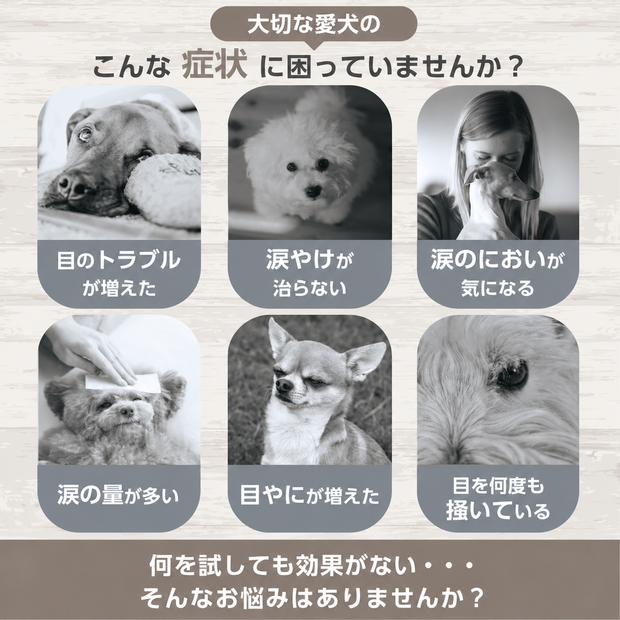 涙やけサプリ アイピュア 5本セット｜シロップタイプ 20ml フレーバー: チキン風味