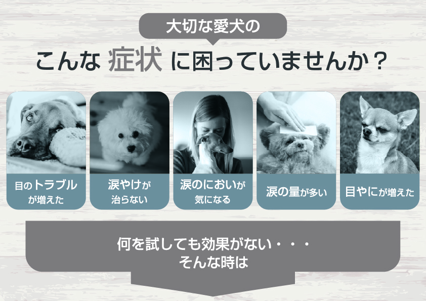 涙やけサプリメント 【eye pure. (アイピュア)】チキン風味 シロップタイプ 20ml