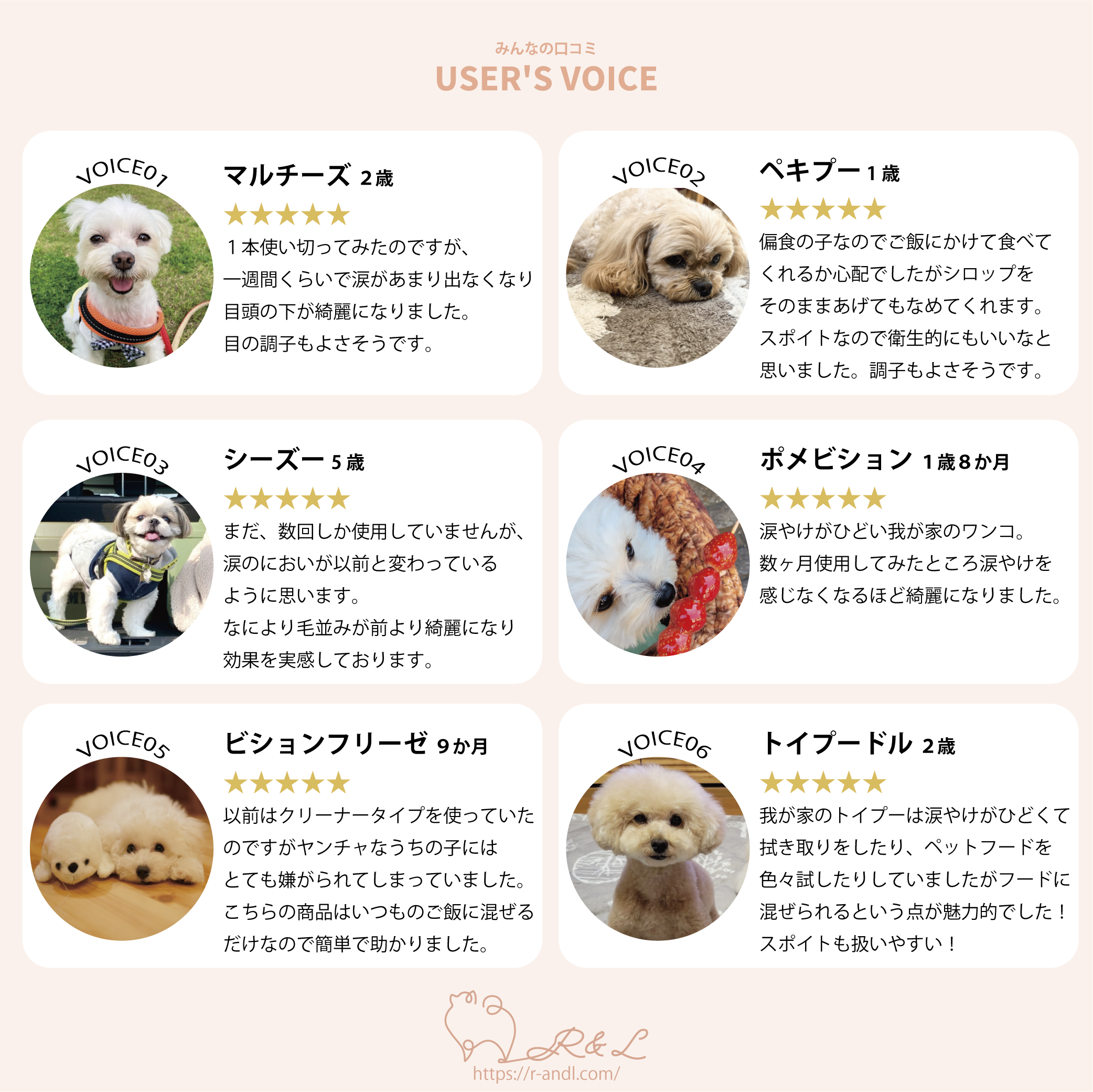 涙やけサプリ アイピュア 5本セット｜シロップタイプ 20ml フレーバー: チキン風味
