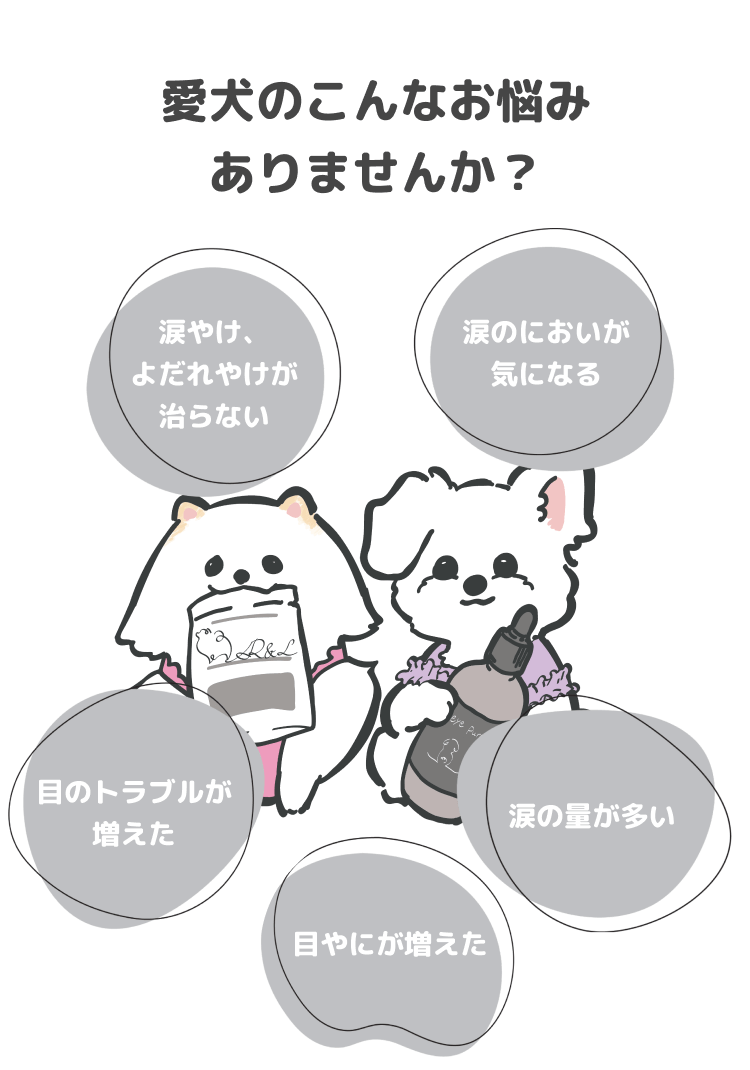 suggestion