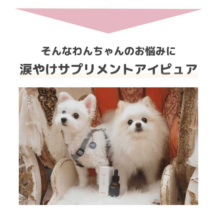 answer
