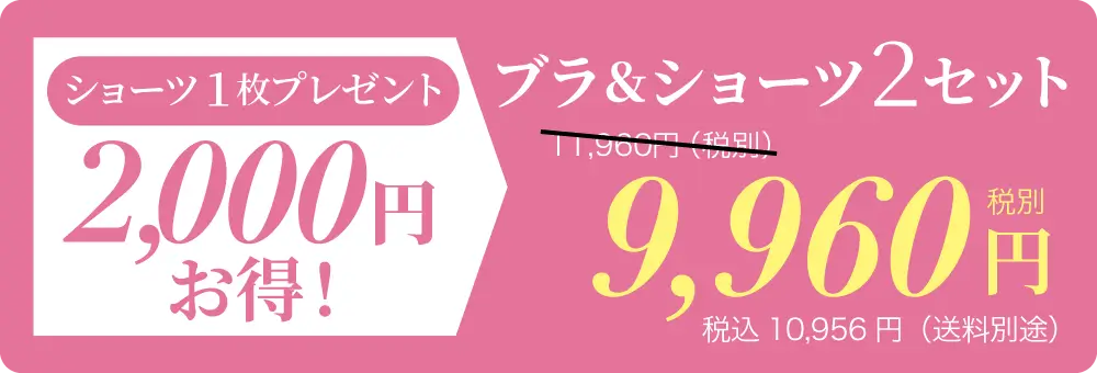 リライトブラ 新色発売記念！ショーツ1枚もらえる特別セット