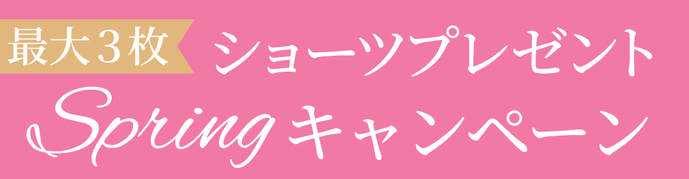 リライトブラ 今なら最大3枚もらえる！リライトショーツプレゼント！