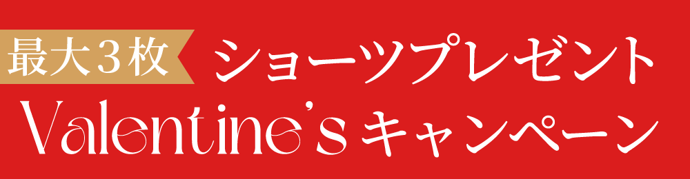 リライトブラ 今なら最大3枚もらえる!リライトショーツプレゼント!