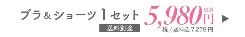 リライトブラ・ショーツ1セット購入はこちら