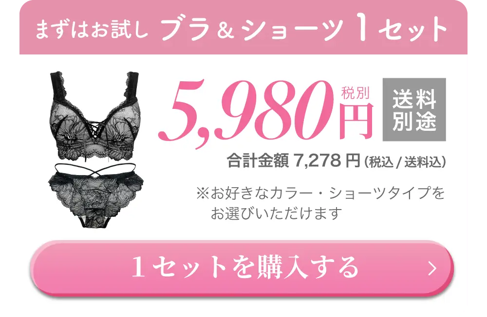 リライトブラ・ショーツセット購入はこちら