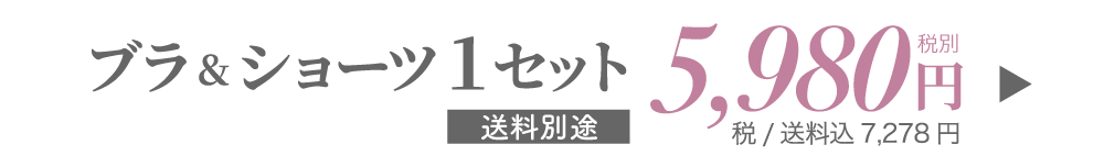 リライトブラ・ショーツ1セット購入はこちら