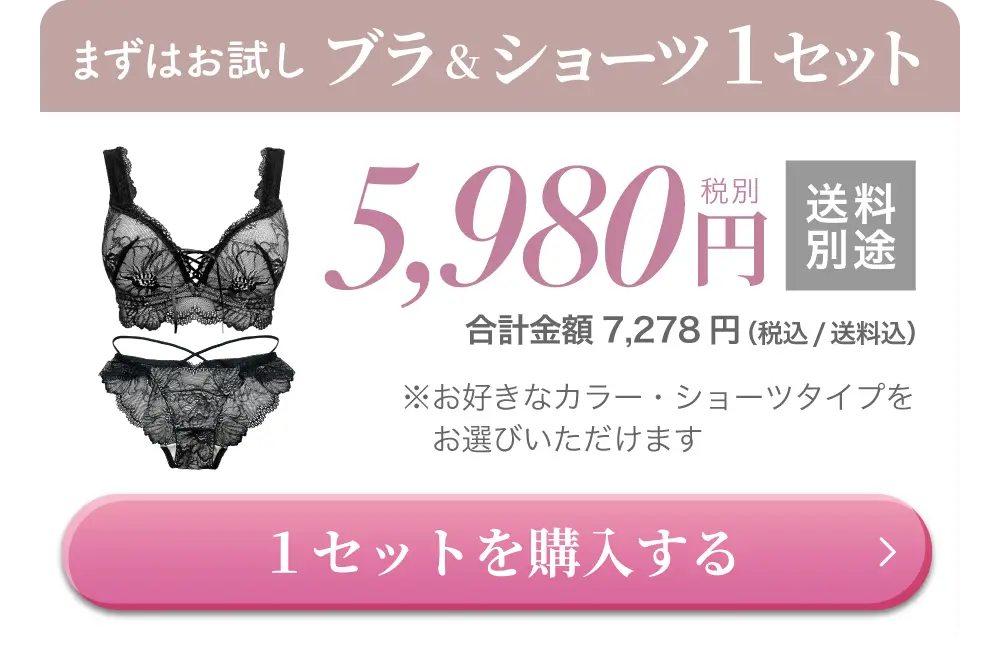 リライトブラ・ショーツセット購入はこちら