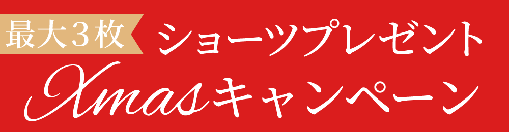 リライトブラ 今なら最大3枚もらえる！リライトショーツプレゼント！