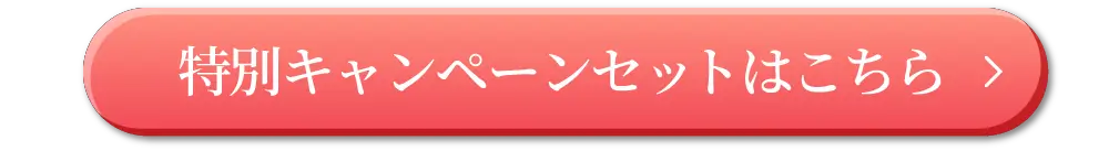 リライトブラ新色発売記念特別キャンペーンセットはこちら