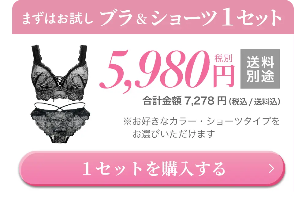 リライトブラ・ショーツセット購入はこちら