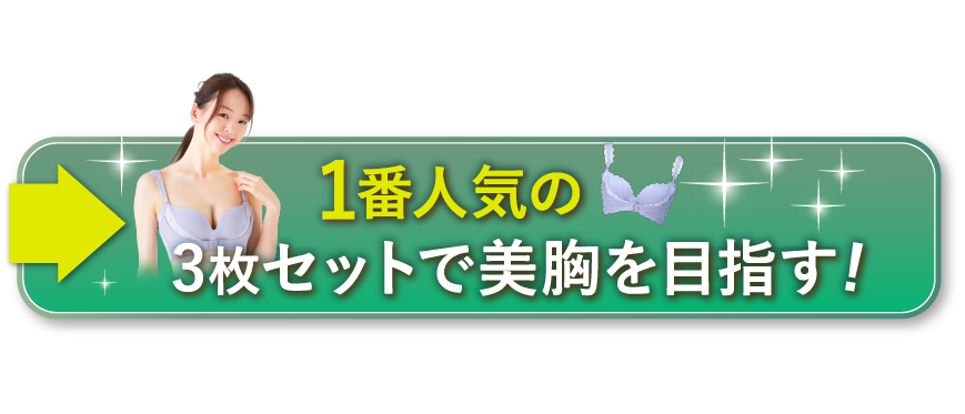 【新品未開封】ROSA BLU（ロザブルー）ナイトブラ黒色x５個 楽天市場】ナイトブラ 育乳 垂れ 公式 ROSABLU ロザブルー 脇高