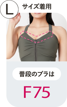 L 普段のブラはF75