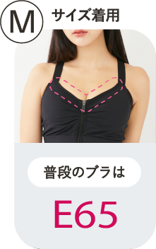 M 普段のブラはF65
