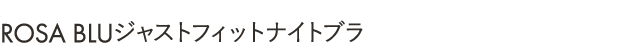 ROSA BLUジャストフィットナイトブラ