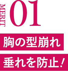MERIT01 胸の型崩れ・垂れを防止！