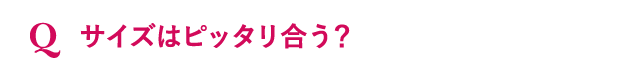 サイズはピッタリ合う？