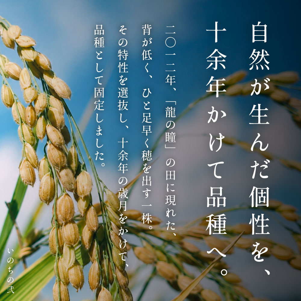 2025年産 いのちの弐 岐阜県産　2kg 