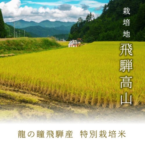 特撰ギフト頂　龍の瞳2025年特撰飛騨産 箱種類: 木箱, 内容量: 2kg（13合）, 留紐種類: 赤白紐(祝儀/日常)