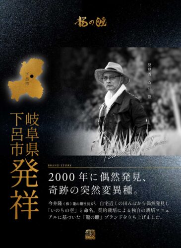 2024年産龍の瞳飛騨産 内容量: 2kg(13合), 精米方法: 精米