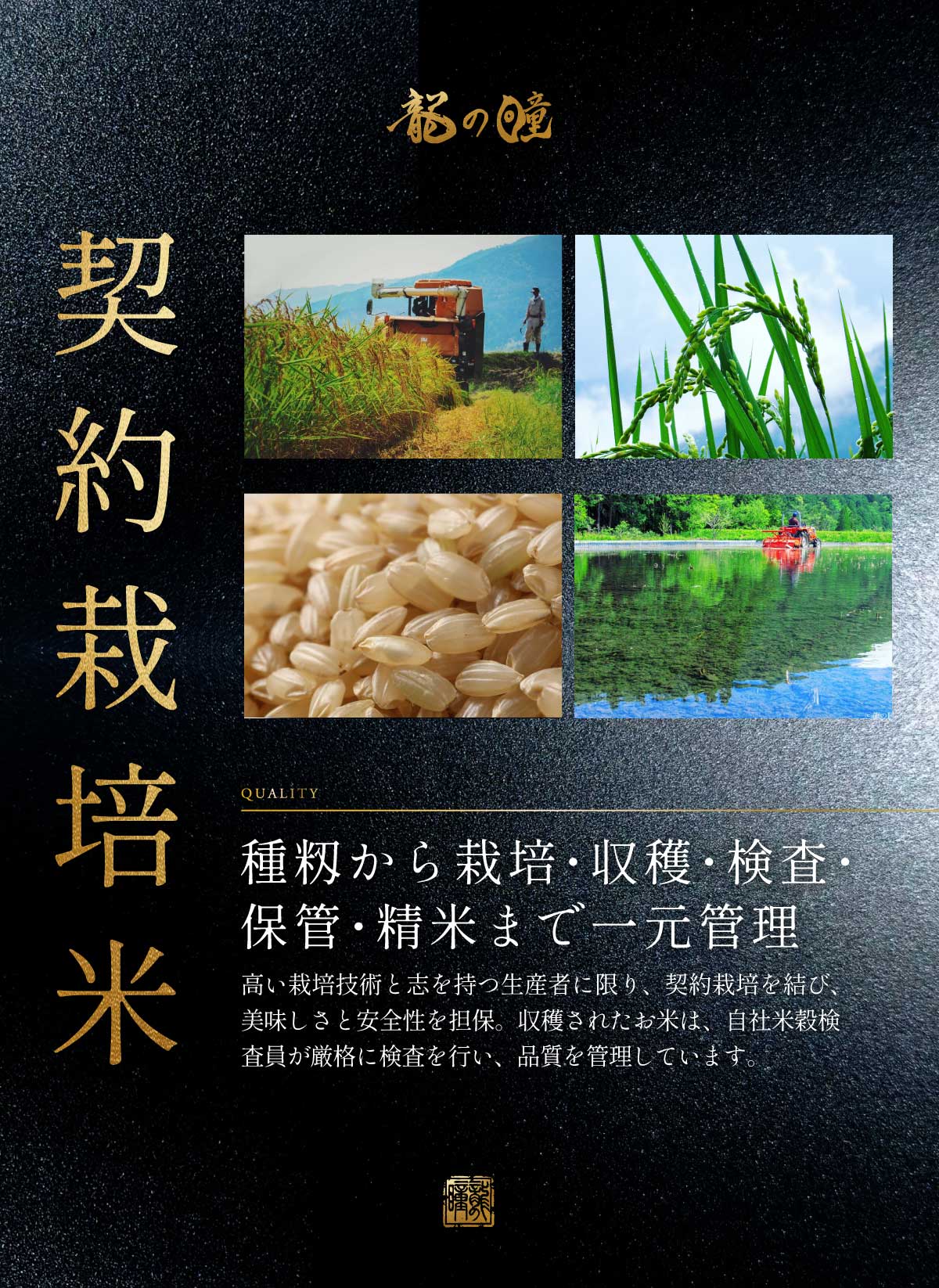 2025年産龍の瞳長野県産 内容量: 1kg(6.7合), 精米方法: 精米