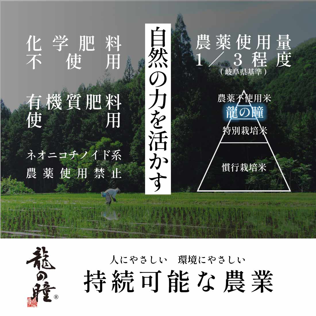 2026年産龍の瞳飛騨産 内容量: 1kg(6.7合), 精米方法: 精米