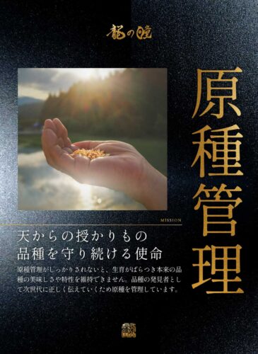 2024年産龍の瞳飛騨産 内容量: 2kg(13合), 精米方法: 精米