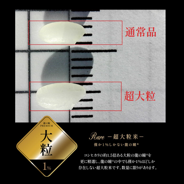2025年産龍の瞳　超大粒米（岐阜県産） 内容量: 1kg