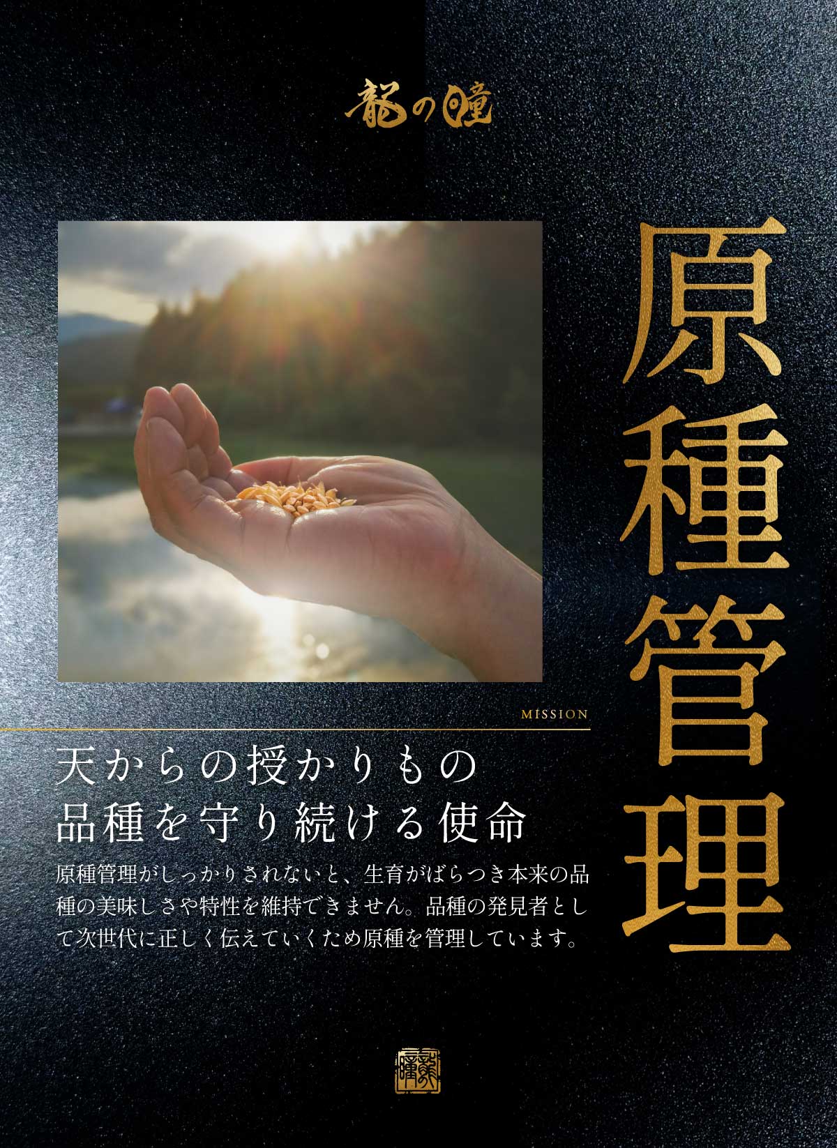 2025年産龍の瞳飛騨産 内容量: 1kg(6.7合), 精米方法: 精米