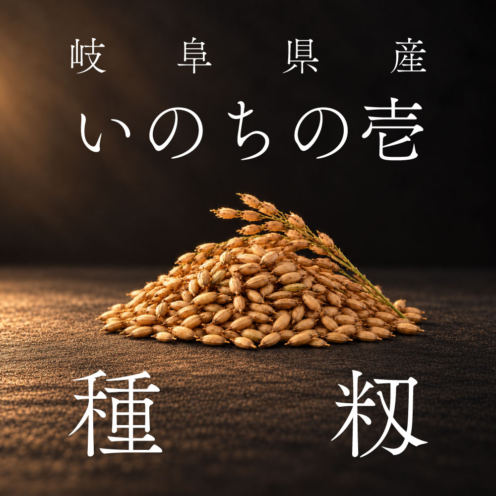 2026年産いのちの壱種籾（岐阜県産） 内容量: 1kg