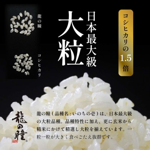 2026年産龍の瞳飛騨産 内容量: 1kg(6.7合), 精米方法: 精米