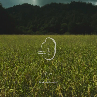 しらすぬか 種類: ゆば山椒40g